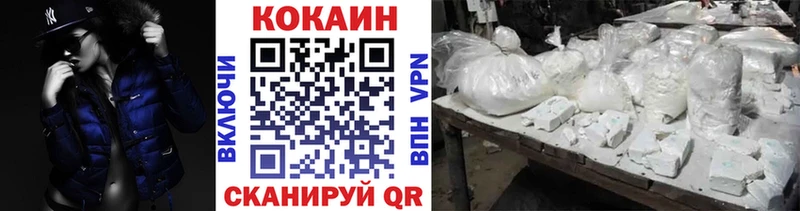 COCAIN Fish Scale Чита