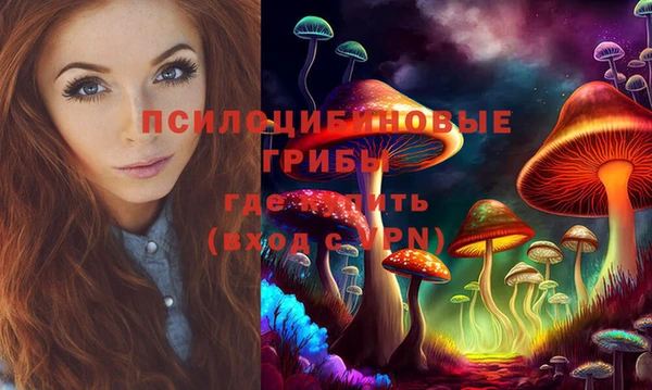 эйфоретик Горняк