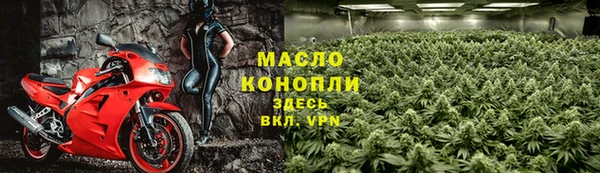 молекула духа Горнозаводск