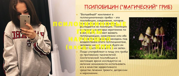 молекула духа Горнозаводск