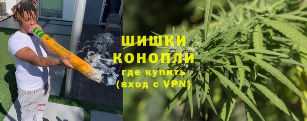 молекула духа Горнозаводск