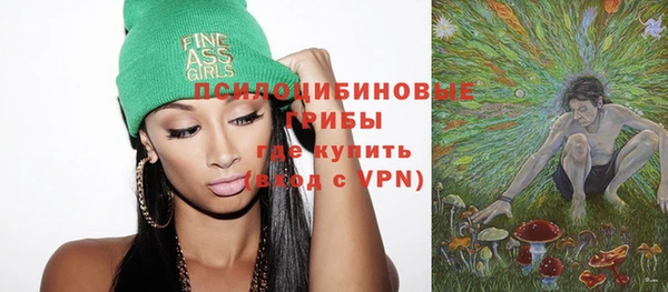 эйфоретик Горняк