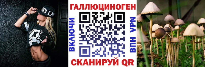 Купить  Чита  Галлюциногенные грибы Psilocybe 